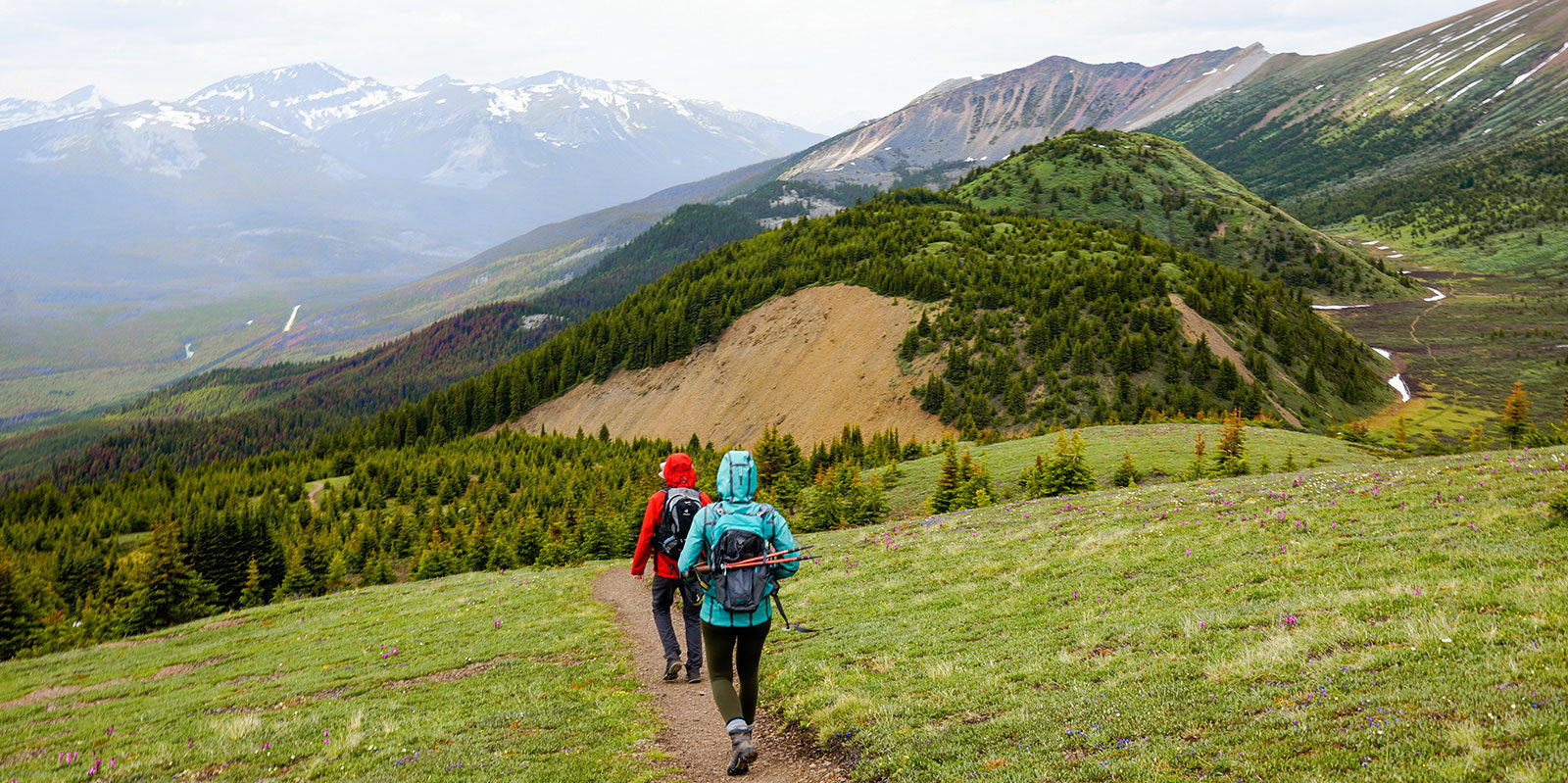 Hiken in de Opal Hills